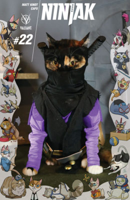 ninjak_022_cat-cosplay-cover