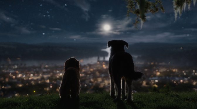 Every Day Could Be an Adventure Trailer: Disney+’s Lady and the Tramp!